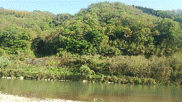 201507121527502_A6X7LP7K[1]