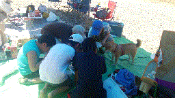 201507121533914_Z1SFOC32[1]