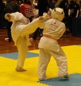 201511030747368_A6X7LP7K[1]